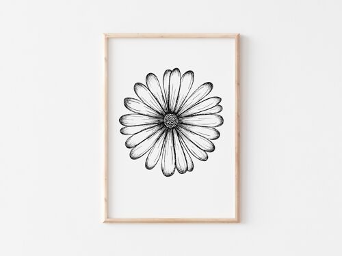 Black and White Daisy Print A5