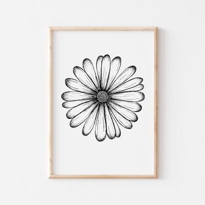 Black and White Daisy Print A5