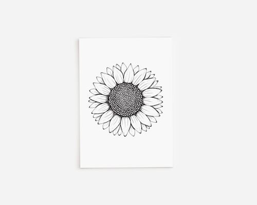 Black and White Sunflower Greetings Card A5