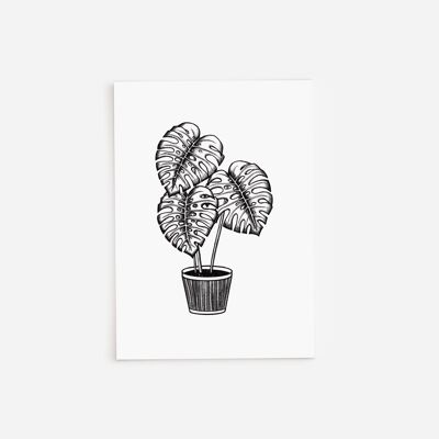 Black and White Monstera Greetings Card A5