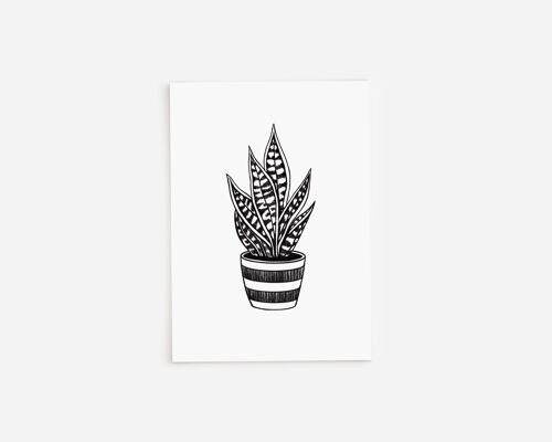 Black and White Snakeplant Greetings Card A5