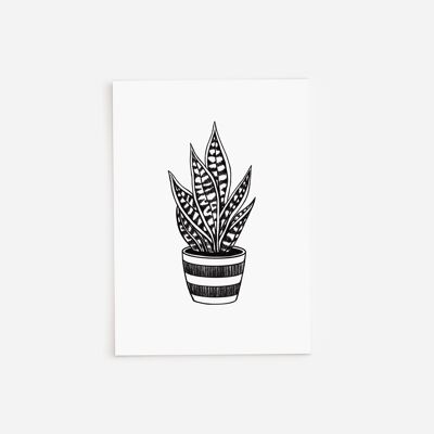 Carte de voeux Snakeplant noir et blanc A5