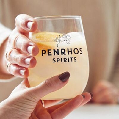 Due bicchieri da gin con marchio Penrhos