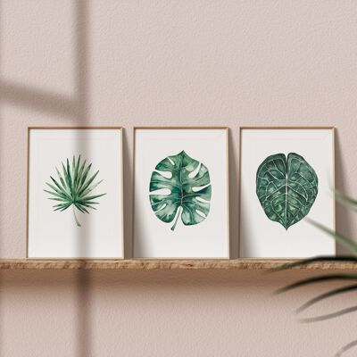 3er Set Botanische Kunstdrucke "Palmblätter" - A5