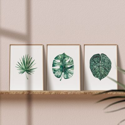 Set di 3 stampe d'arte botanica "Foglie di palma" - A4