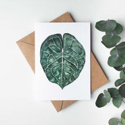 Folding card "Anthurium Clarinervium Leaf"