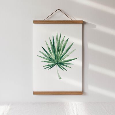 Art Print "Fan Palm Leaf" - A5