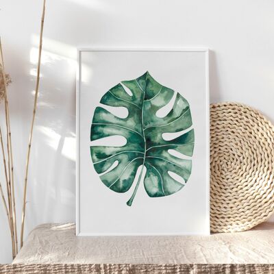 Stampa artistica "Foglia di Monstera" - A4