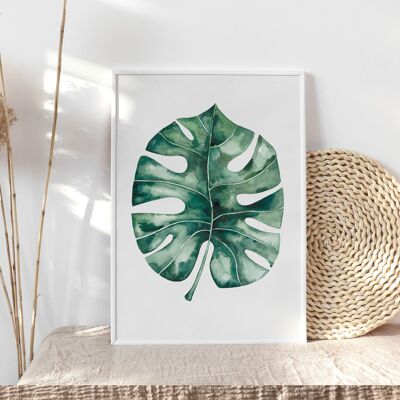 Stampa artistica "Foglia di Monstera" - A3