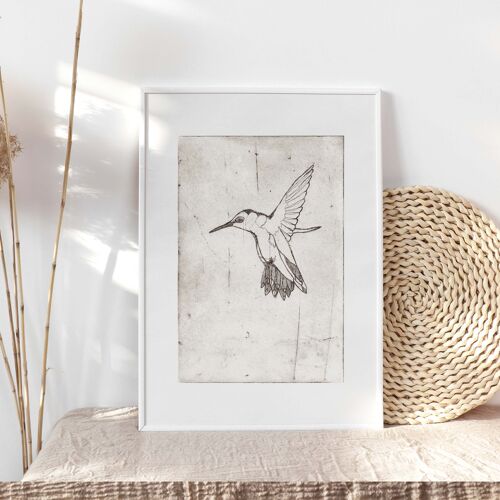 Kunstdruck "Kolibri" - A4