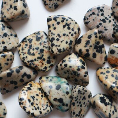 Dalmatian Jasper tumbled stones - large