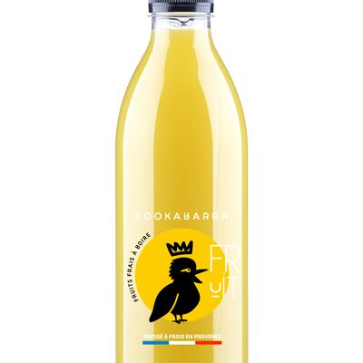 Jus de Pomme Verte 100% 1L - X30