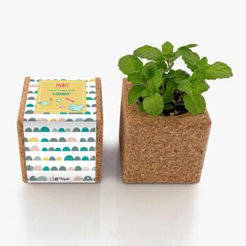 Cadeau maitresse, gardienne, puéricultrice - Cube en liège aimanté menthe à planter - pregnancy announcement - durable et écologique 1