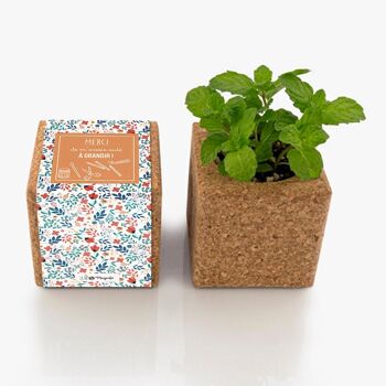 Cadeau maitresse, gardienne, puéricultrice - Cube en liège aimanté menthe à planter - pregnancy announcement - durable et écologique 3