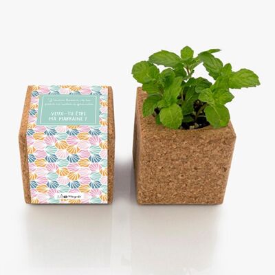 Godmother request - Magnetic cork cube to plant - pregnancy announcement with baby sock - pregnancy announcement - sustainable and ecological