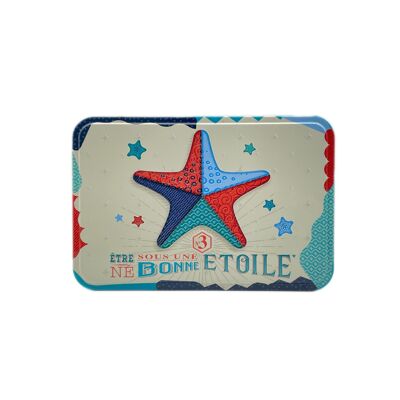 Boîtes métal 350g - Assortiment galettes-palets ETOILE