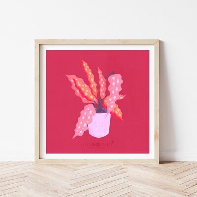 Pink Botanical - Illustrated Art Print - 8x8” inches