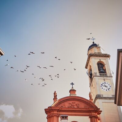 Birds, Cernobbio - 45x30 - Plexiglas