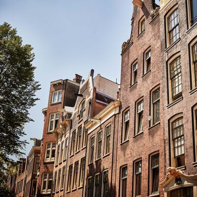 Maisons de ville, Amsterdam - 30x45 - Plexiglas
