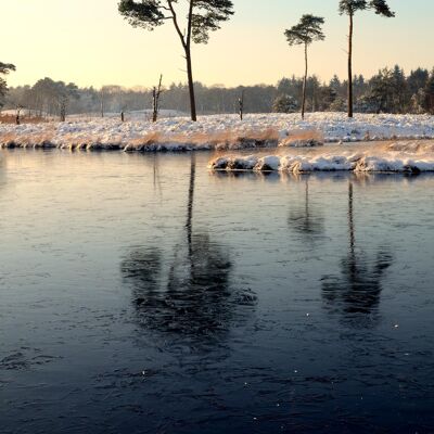 Frosty Forest, Nijmegen - 110x165 - Plexiglas
