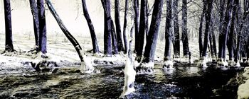 Frosty River, Nimègue - 50x20 - Plexiglas 1
