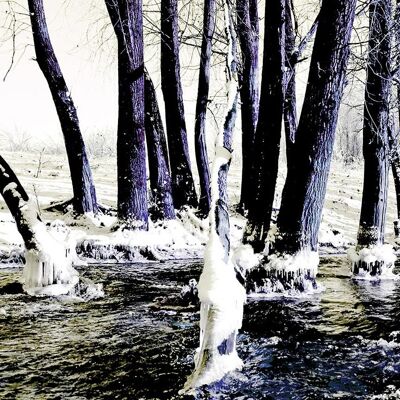 Frosty River, Nimègue - 50x20 - Plexiglas