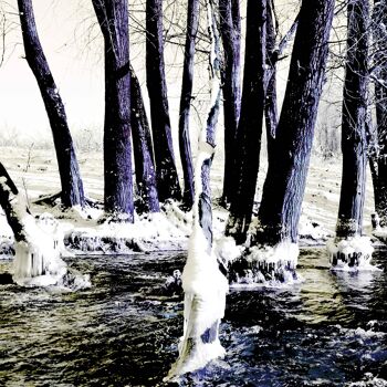 Frosty River, Nimègue - 50x20 - Plexiglas 4