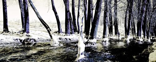 Frosty River, Nijmegen - 70x28 - Plexiglas