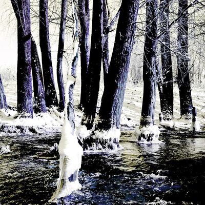 Frosty River, Nimègue - 100x40 - Plexiglas