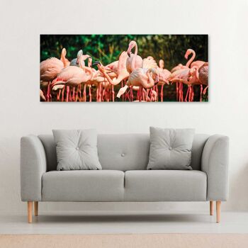 Flamants roses, îles Galapagos - 140x56 - Plexiglas 2