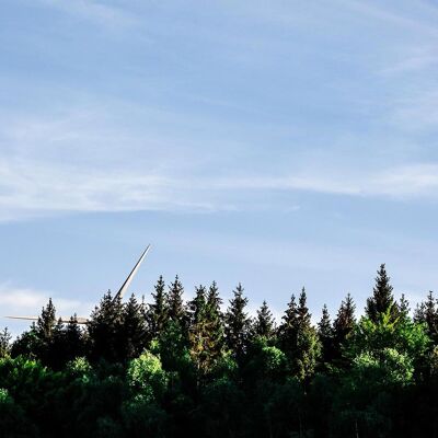 Bois modernes, Pays-Bas - 180x90 - Plexiglas
