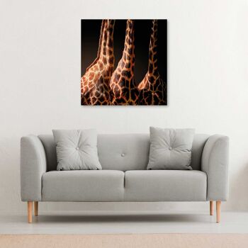 Girafe, Afrique - 50x50 - Plexiglas 2