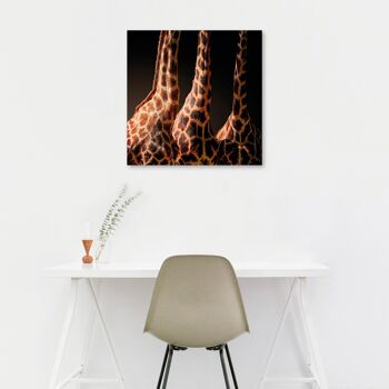 Girafe, Afrique - 90x90 - Plexiglas 3