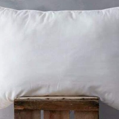 Wool Pillow With 100% Cotton Cover - 2 Piece
