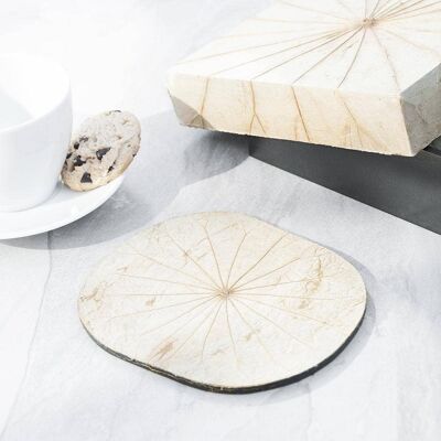 Natural Lotus Leaf Coasters - Set of Six (JUN21-NAT) (TreatRepublic754)