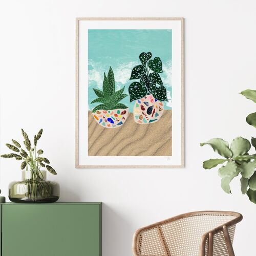 Colourful Suculent House plants Art Print A3 - 29.7 x 42cm