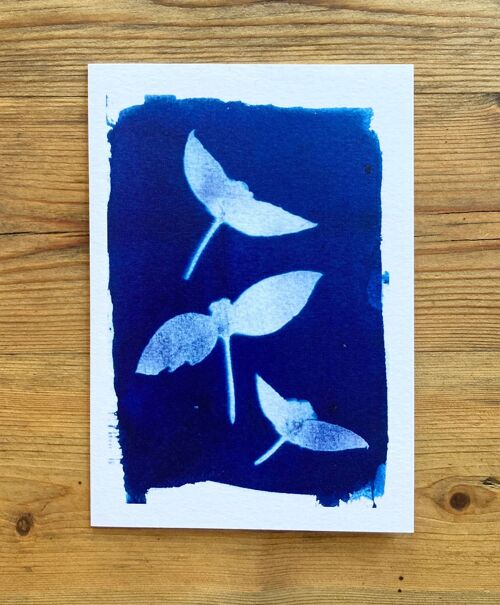 Alkanet' Botanical Blue Greetings Card