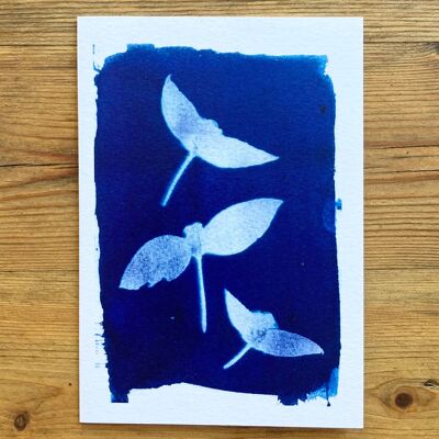 Carte de vœux bleue botanique Alkanet