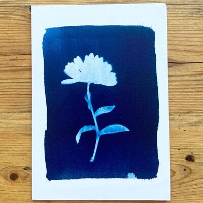 Carte de vœux bleue botanique de Calendula