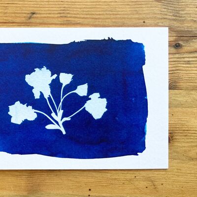 Carte de vœux bleue botanique des fleurs de cerisier