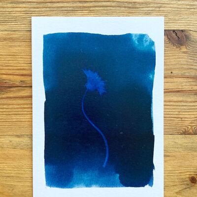 Clover' botanische blaue Grußkarte