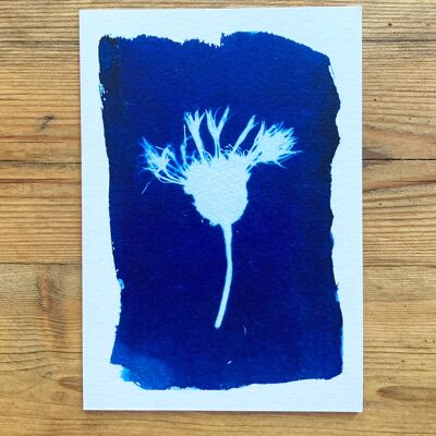 Carte de vœux bleue botanique de Cornflower Montana