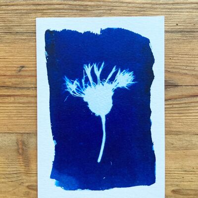 Carte de vœux bleue botanique de Cornflower Montana