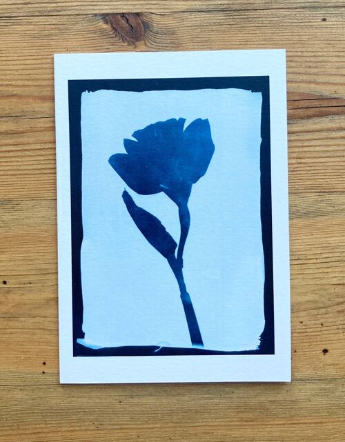 Daffodil Negative' Botanical Blue Greetings Card