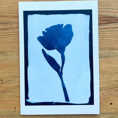 Biglietto d'auguri blu botanico con Daffodil Negative