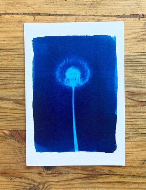 Dandelion' Botanical Blue Greetings Card