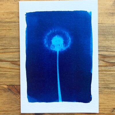 Dandelion' Botanical Blue Greetings Card