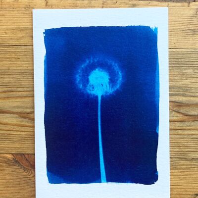 Carte de vœux bleue botanique de pissenlit