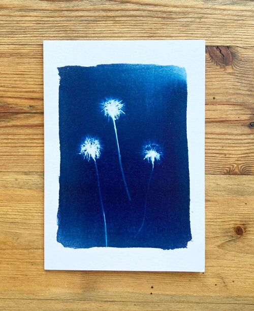 Dandelions' Botanical Blue Greetings Card