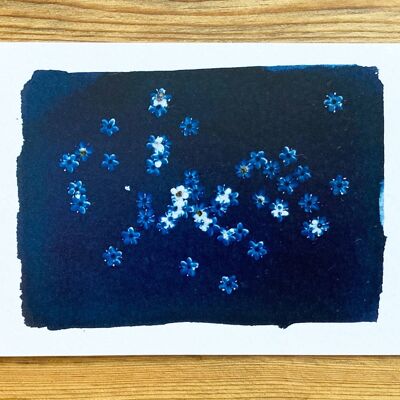 Elderflowers' Botanical Blue Greetings Card